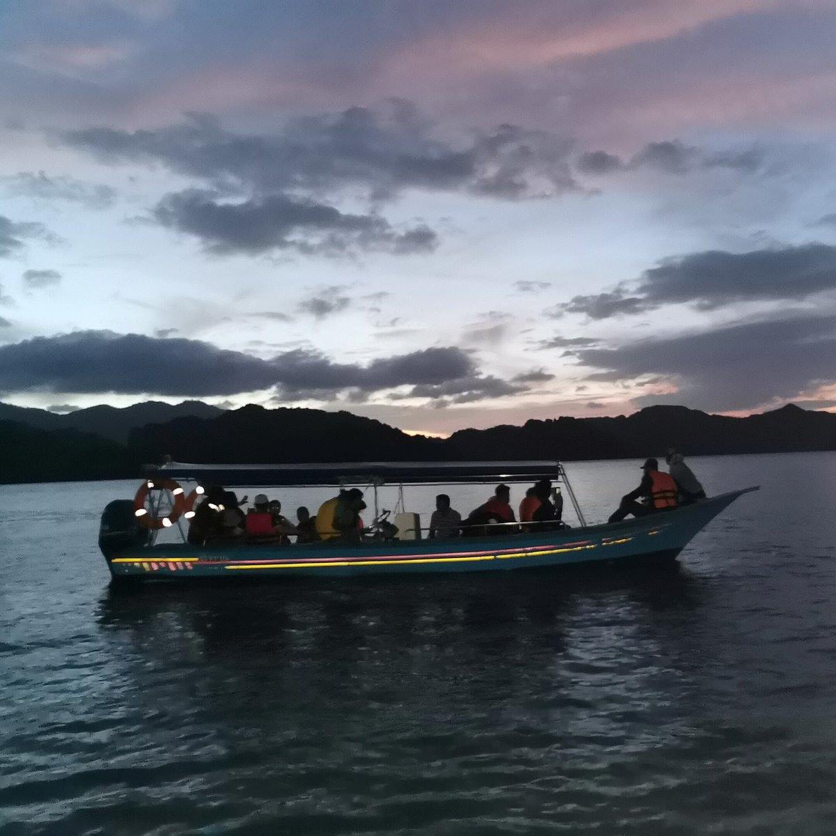 Mangrove Night Safari