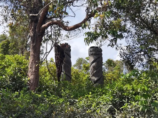 Loagan Bunut National Park