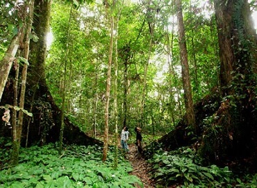 Loagan Bunut National Park