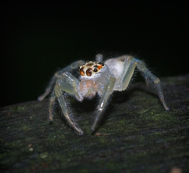 Niah Cave and Tusan Beach Exploration