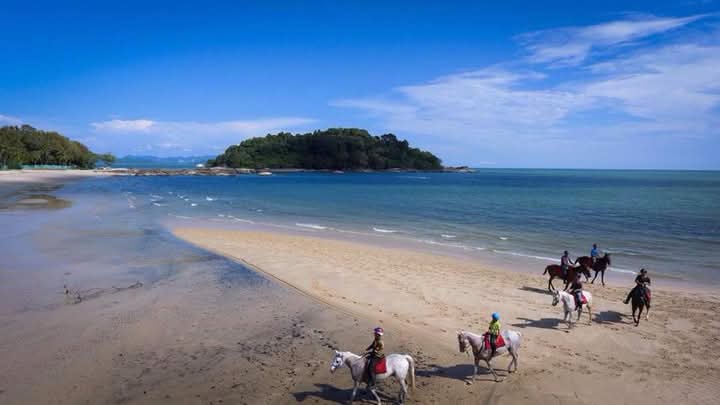 1.5 Hours Jungle & Beach Langkawi