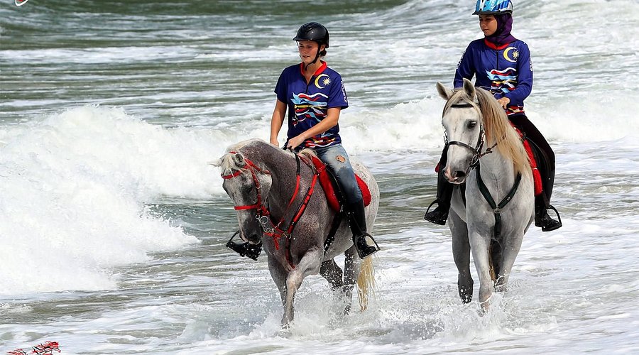 2 Hours Jungle & Beach Langkawi