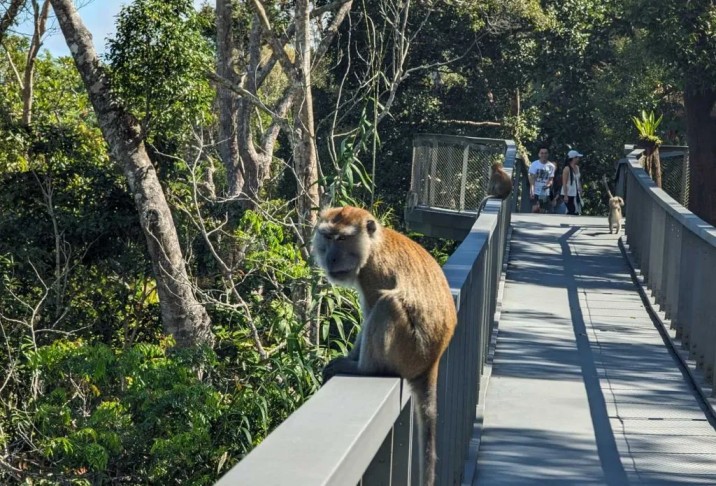 The Habitat Penang Hill