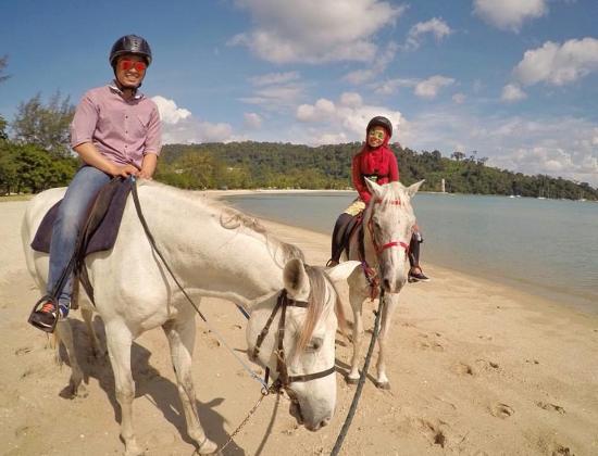 1.5 Hours Lesson & Ride