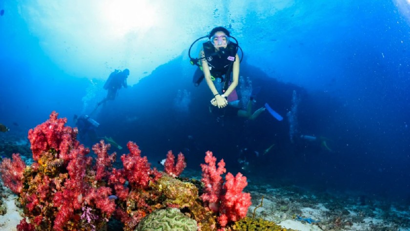 Koh Lipe Scuba Diving - Fun Dive Trips (Certified Diver)