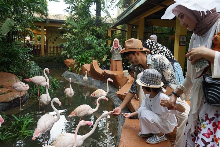 Langkawi Wildlife Park