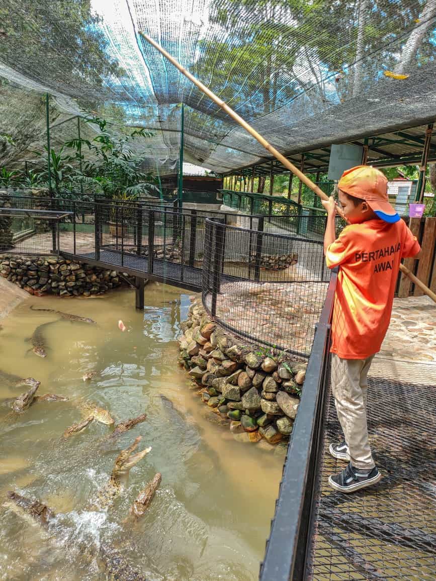 Crocodile Adventureland Langkawi