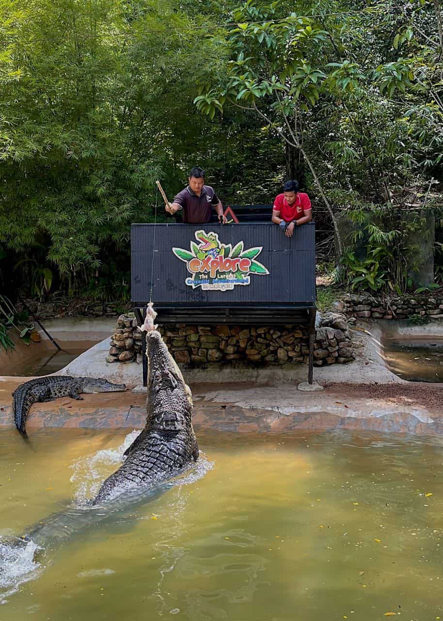 Crocodile Adventureland Langkawi