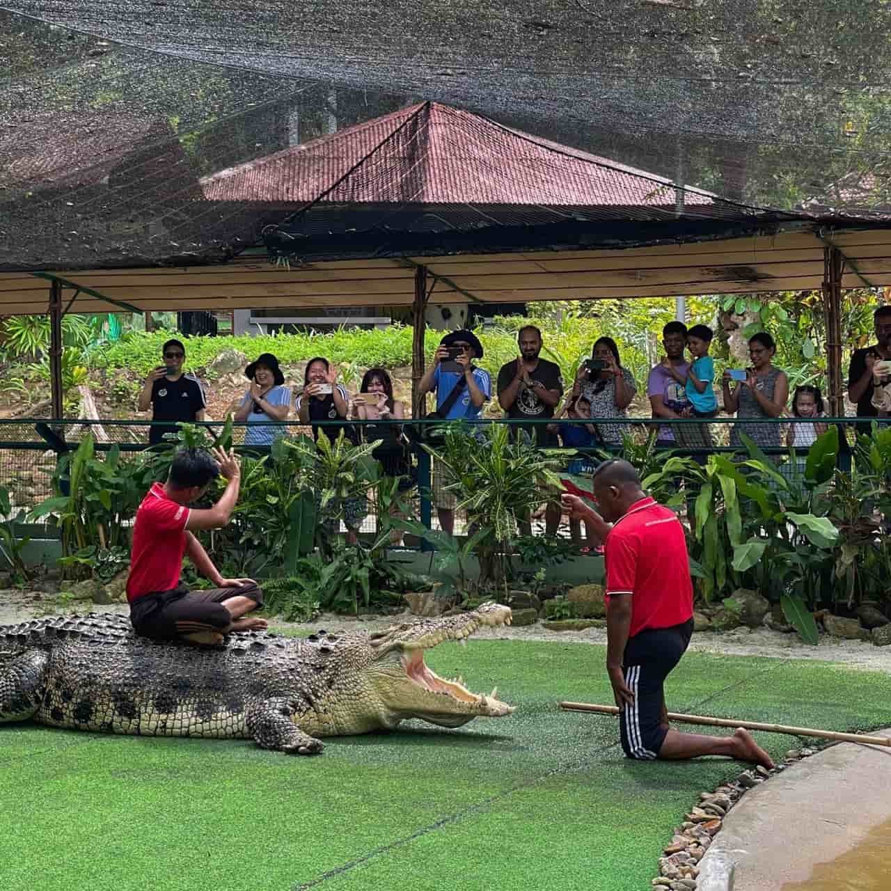 Crocodile Adventureland Langkawi