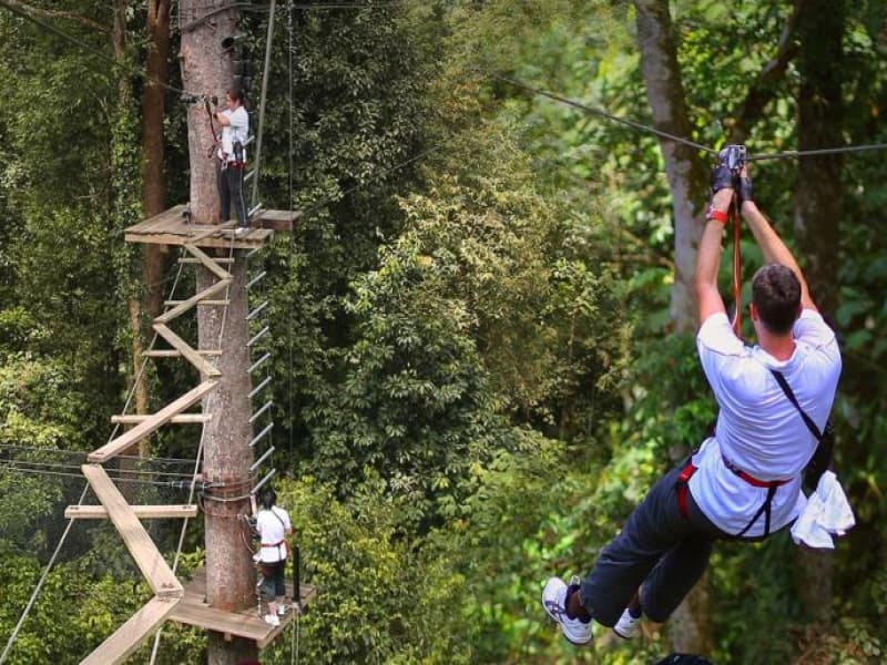 SkyTrex Rainforest Adventure Experience in Langkawi