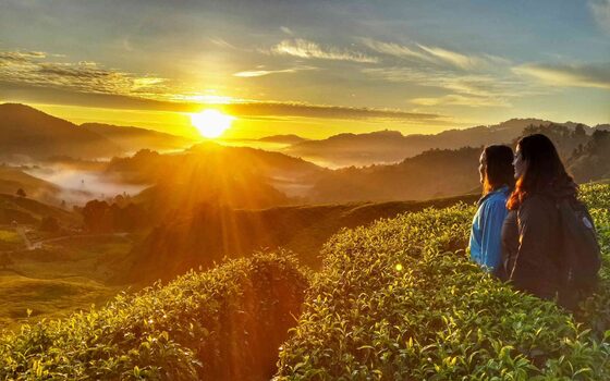 Cameron Highland Private Tour