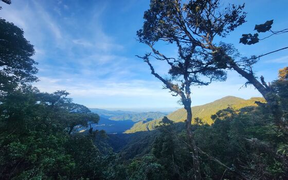 Cameron Highland Private Tour