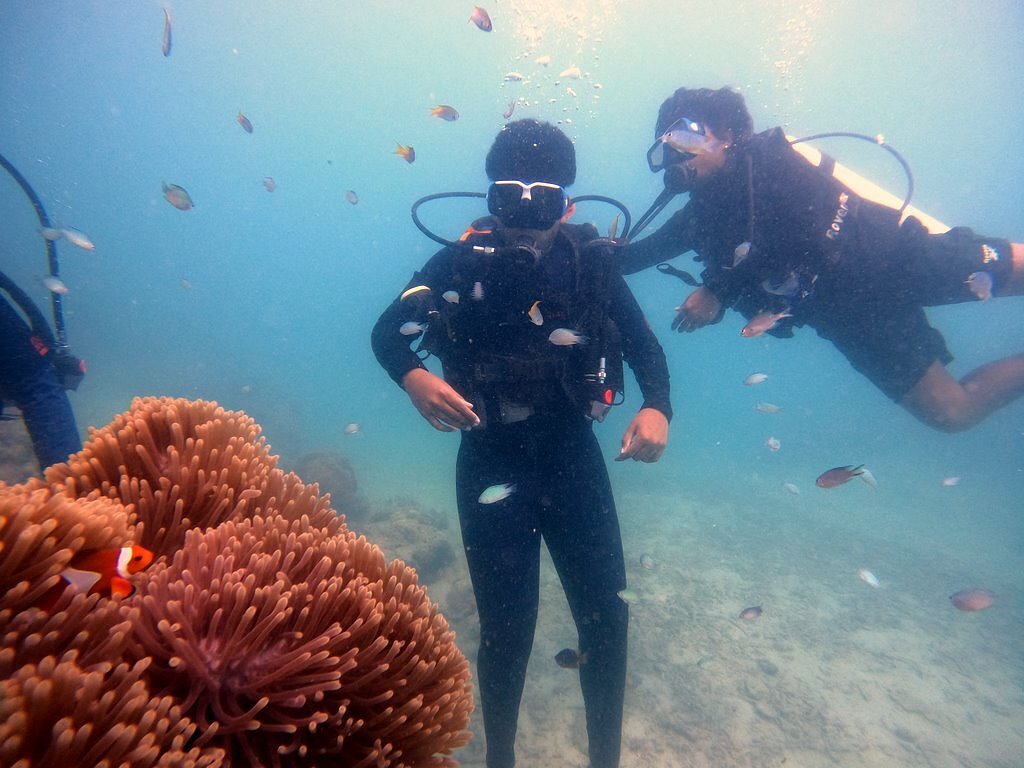 Scuba Diving at Payar Island