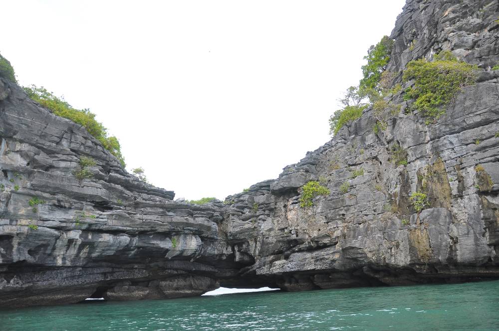 Tuba Mangrove Boat Tour in Langkawi