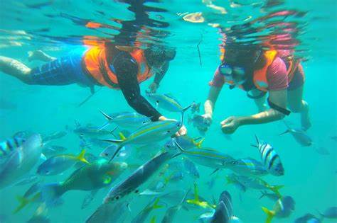 Scuba Diving at Payar Island