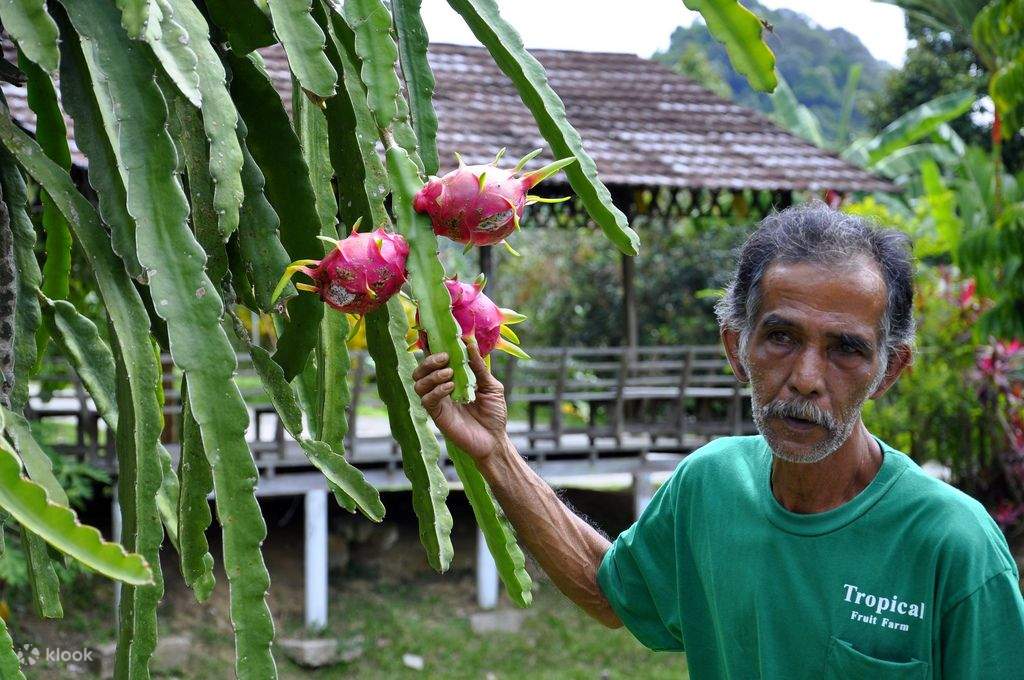 Tropical Fruit Farm Tickets