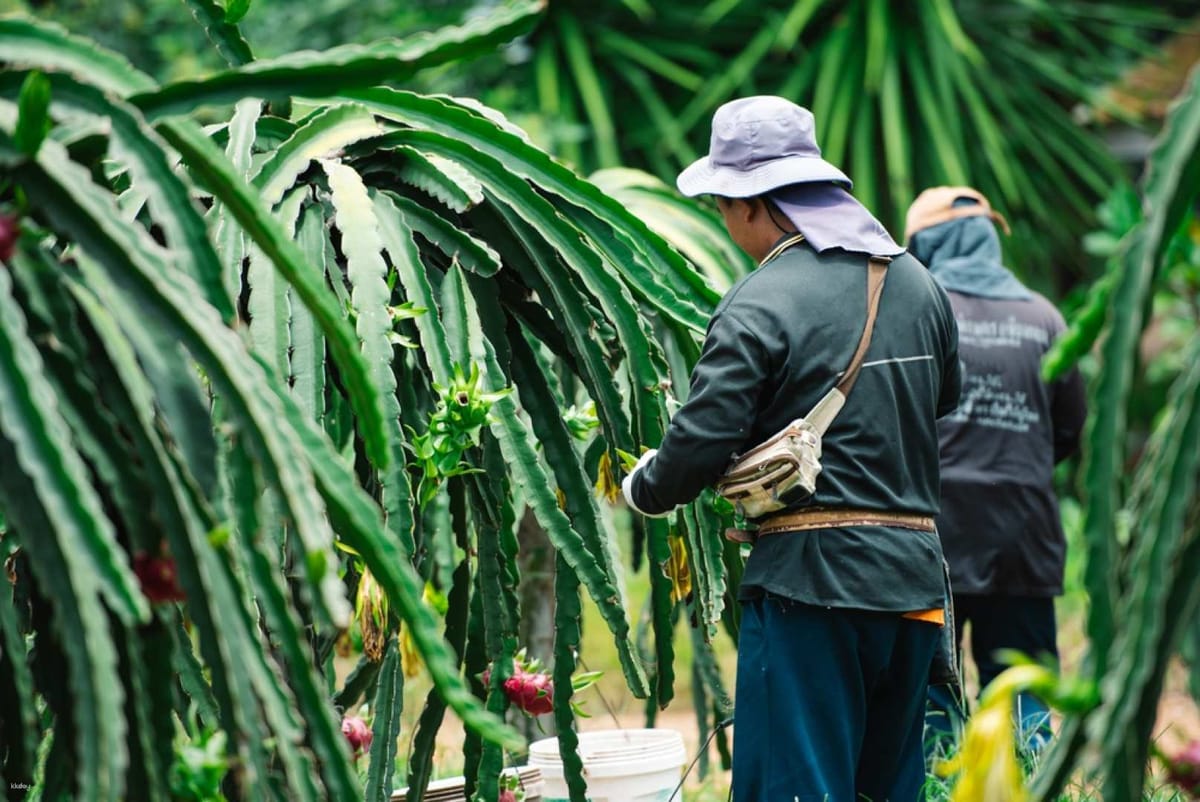 Tropical Fruit Farm Tickets