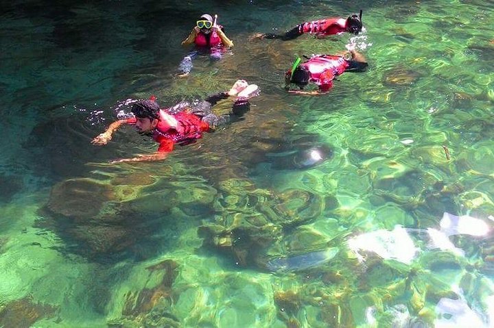 Snorkeling at Fart Island Langkawi