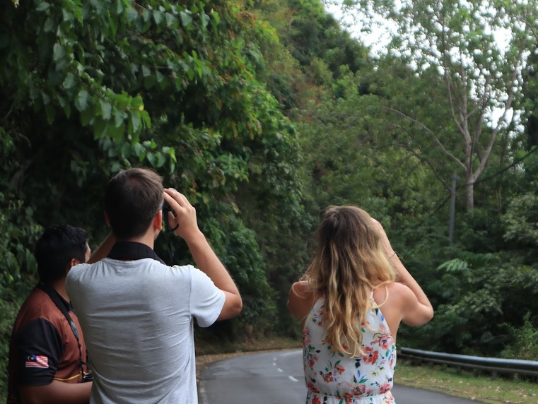 Langkawi Enchanted Rainforest Night Tour