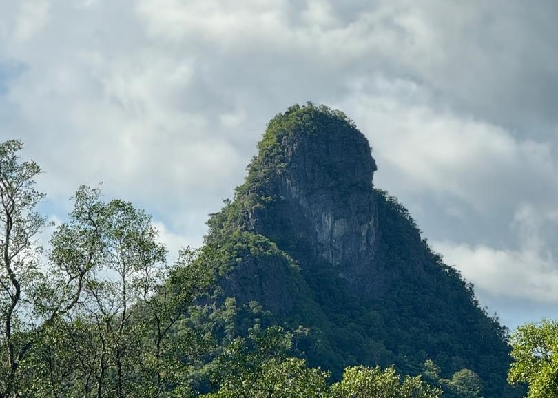 Private Mangrove Tour in Langkawi 3 Hours