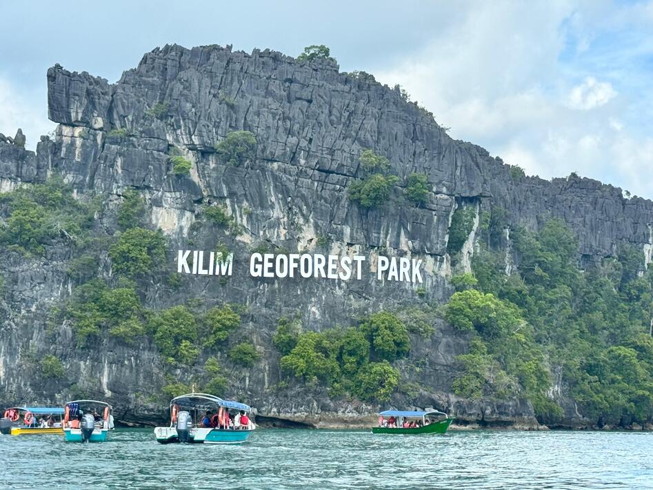 Private Mangrove Tour in Langkawi 4 Hours