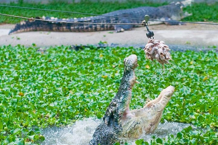 Langkawi Crocodile Adventure Land for Croc Encounter Combo