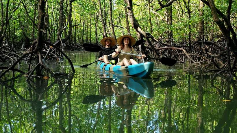 Mangrove Kayak Langkawi