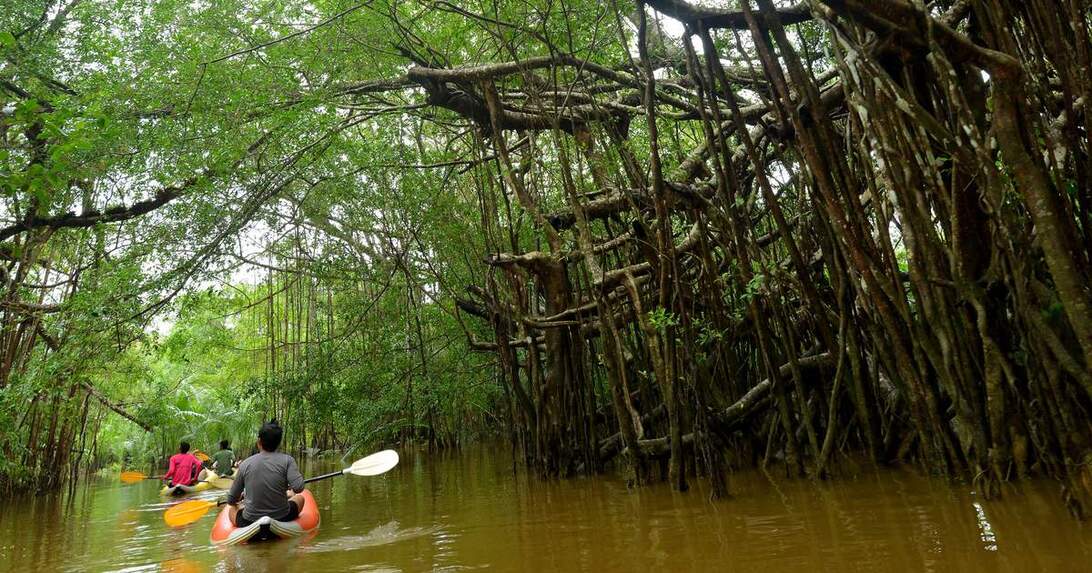 Kubang Badak Kayaking Adventure and Swimming in Langkawi