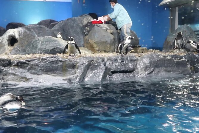 Underwater World Langkawi