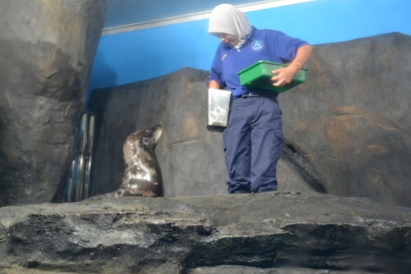 Underwater World Langkawi