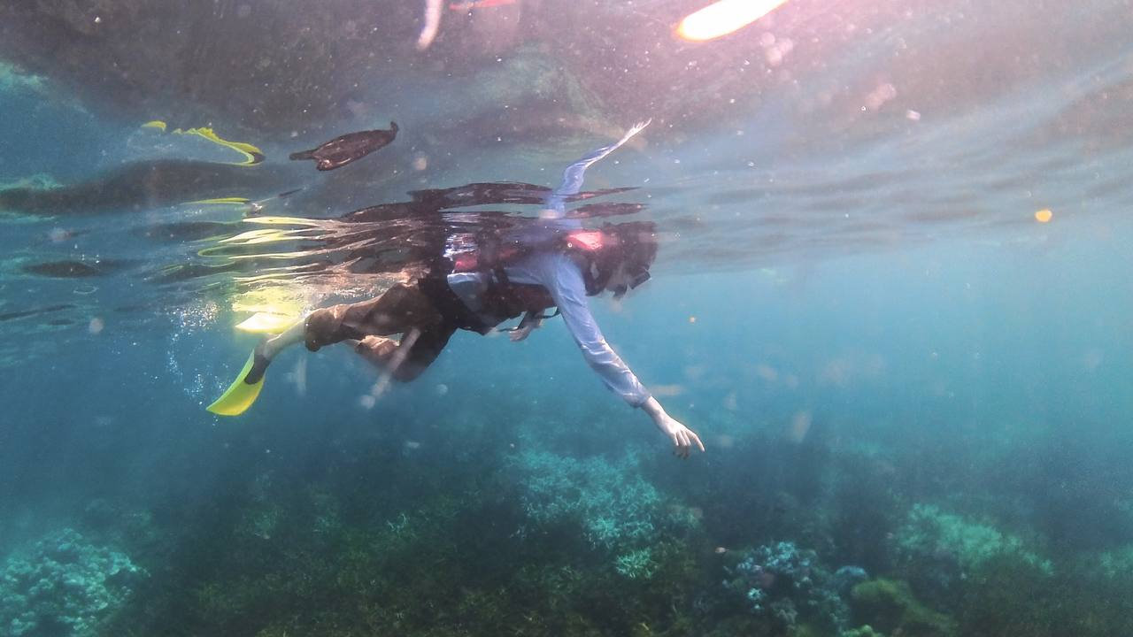 Snorkeling at Local Site Island Langkawi