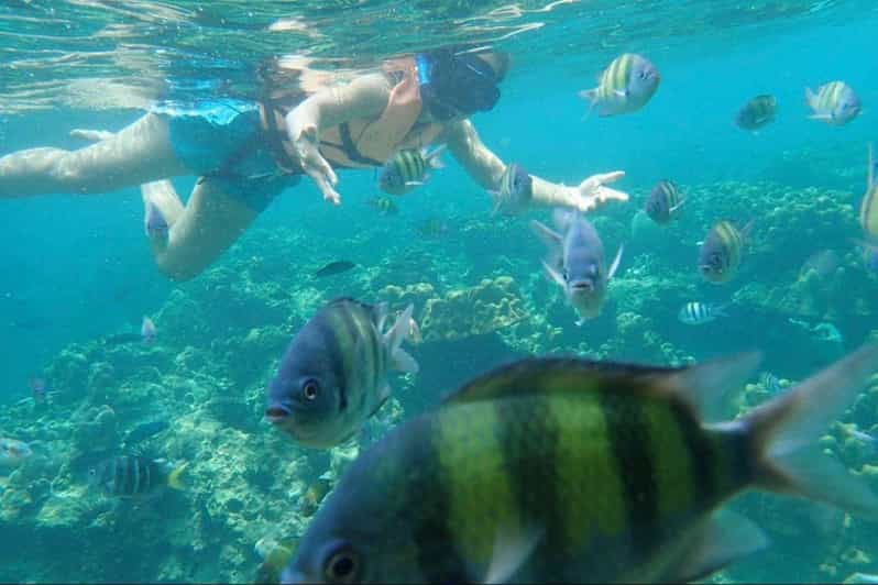 Snorkeling at Payar Island