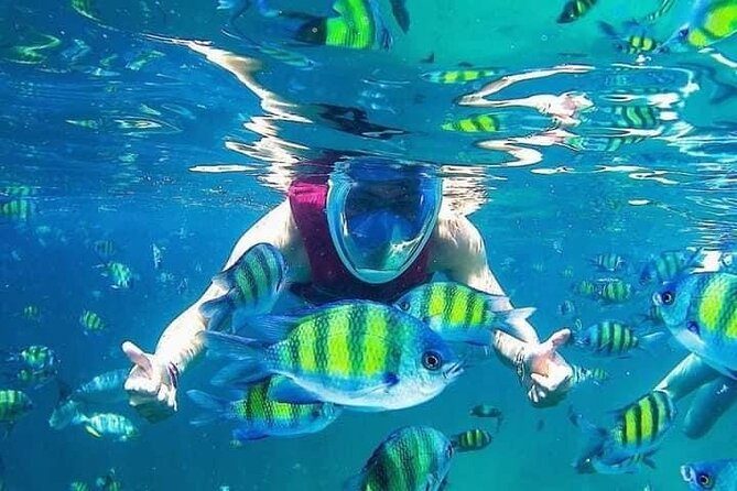 Snorkeling at Payar Island