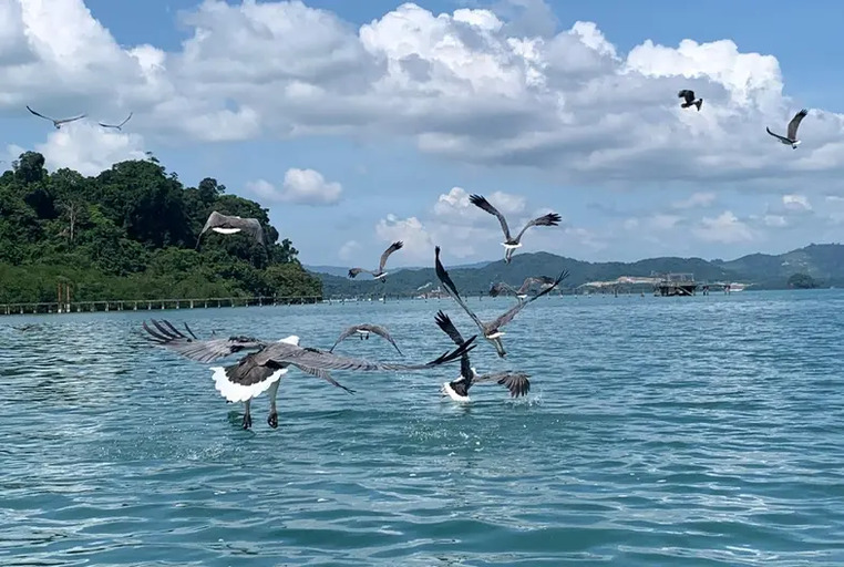 Langkawi Island Hopping Tour