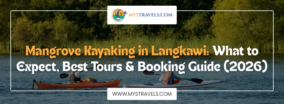 mangrove-kayaking-langkawi